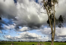 读《稻草人》：于童真中洞察社会与人性