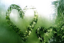 读《稻草人》：于童真中洞察社会与人性