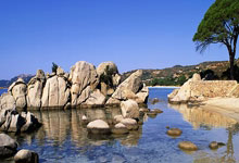 读《稻草人》：于童真中洞察社会与人性